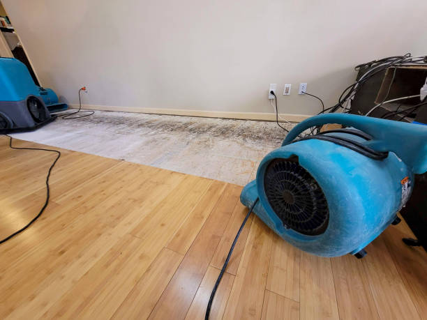 Professional Structural Drying technician working in Clarksville, NY